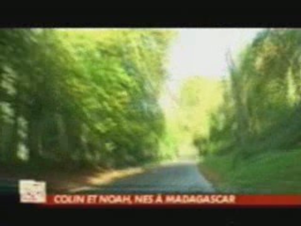 Adoption Canal+
