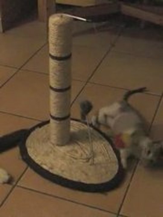 Ella_juega_el _descansa_2