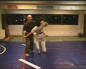 Omkido saisies contrôles principes bujutsu arts-internes 1