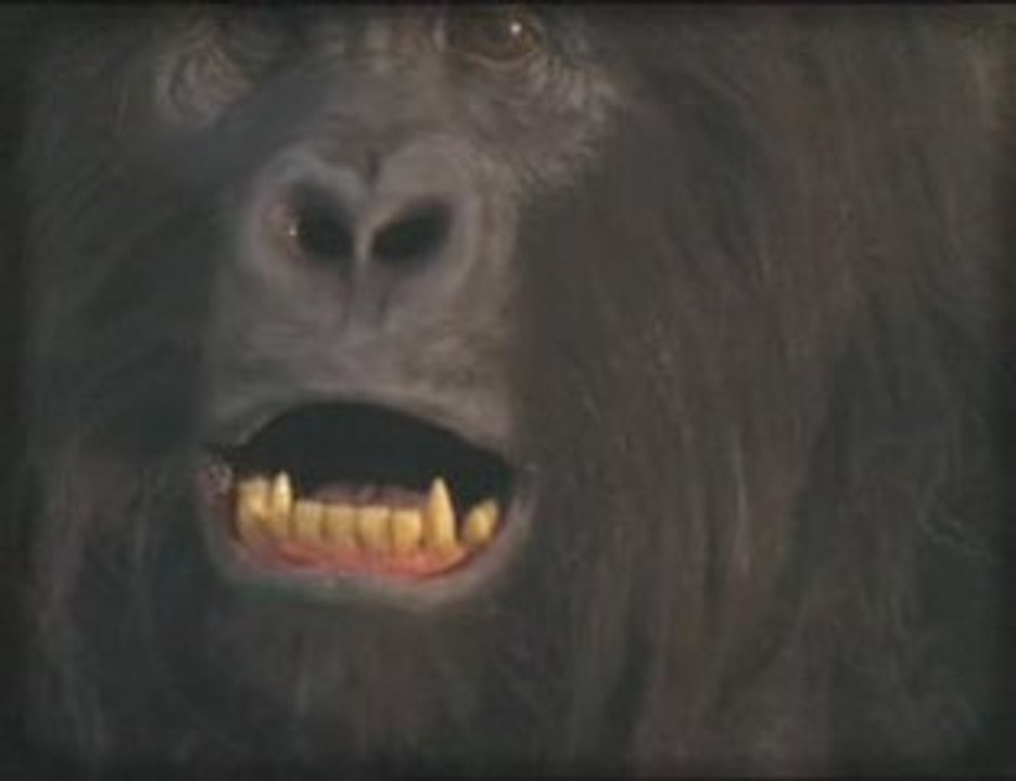 Burn Day king kong