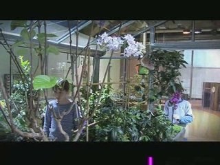 Le jardin de la Cité des enfants 5-12 ans