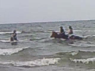 Baignade caline max polo