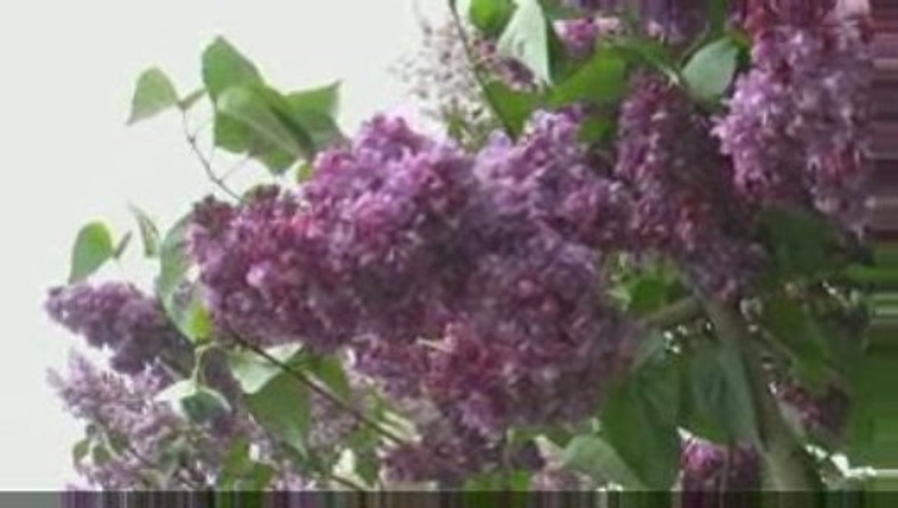 Moscow. Москва