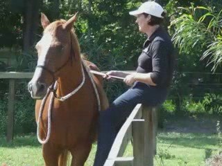 Quantum Savvy Level 1 horsemanship camp (part 1)