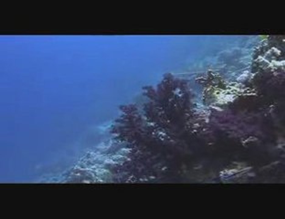 Egypte moi film