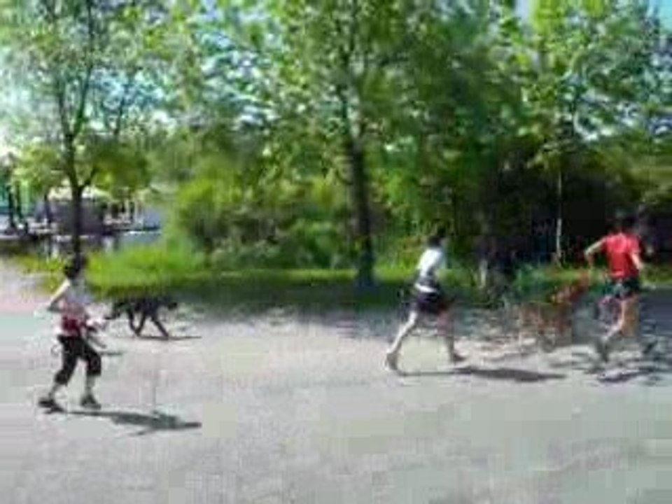 DSCF1156