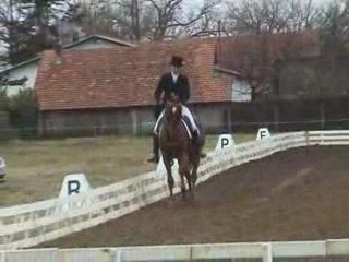 Dressage Icare d'Olympe HN