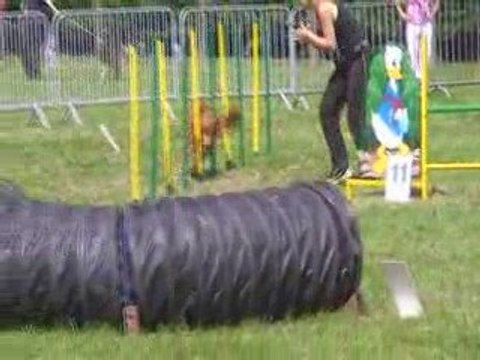 Bullit-jumping Sorinières