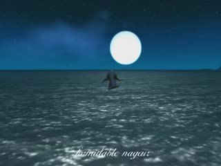 Les talents des druides wow