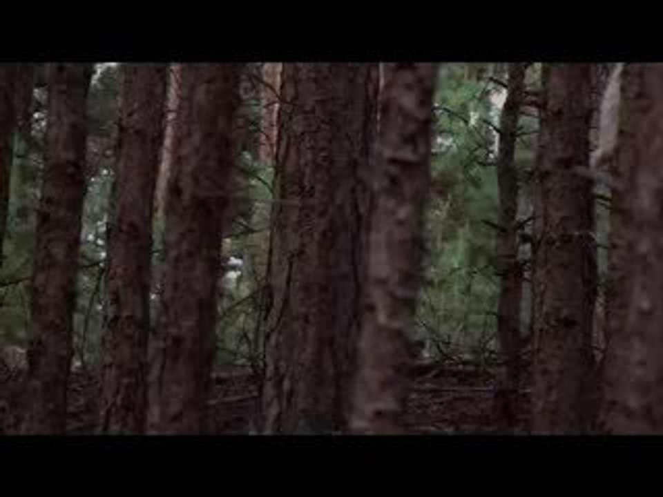 Trailer Final