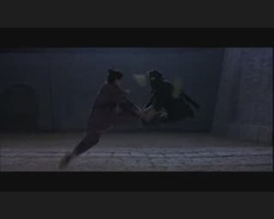 Zhang Ziyi vs Michelle Yeoh Fight Scene
