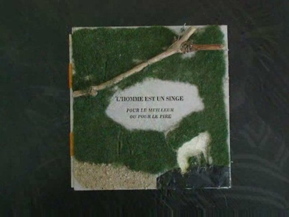 Edition en direct