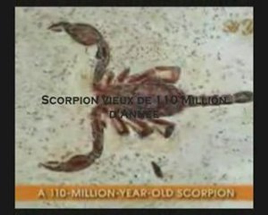 les signes pt.9 (l'evolution démasquée)