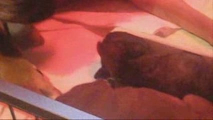 Portée athéna_0001