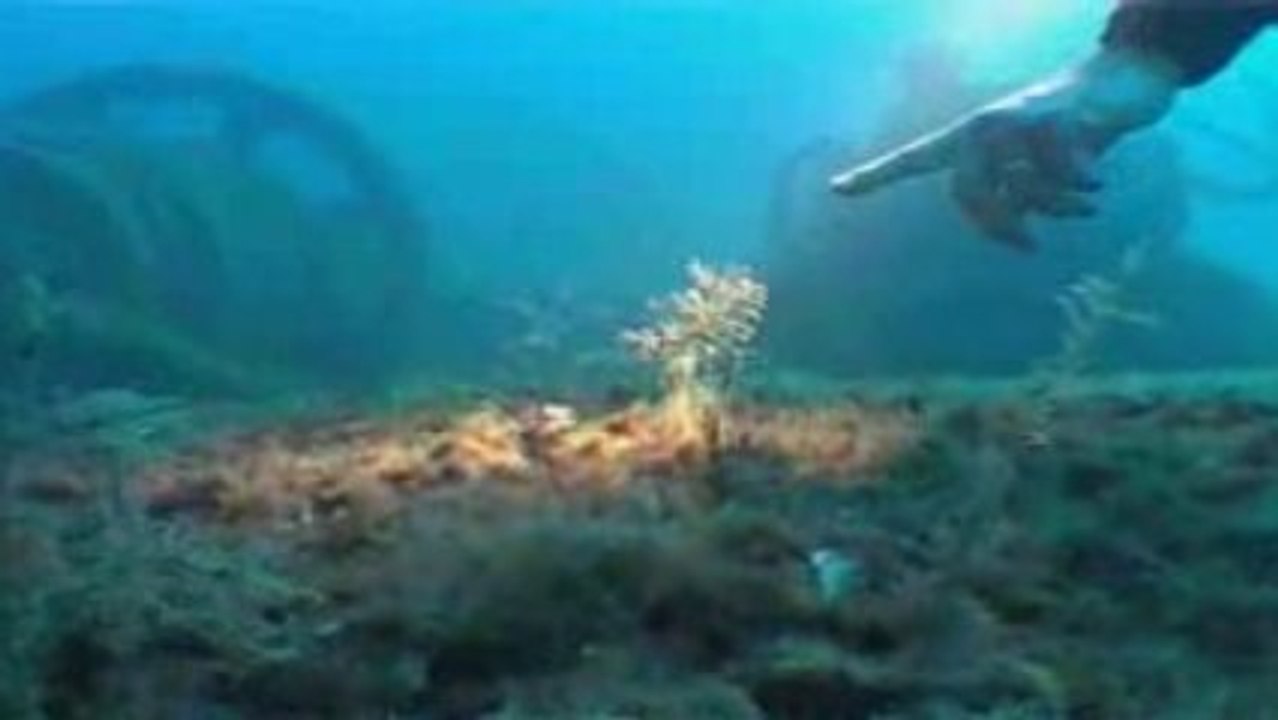 Présentation de la société Deep Vision du Réseau de l'Image