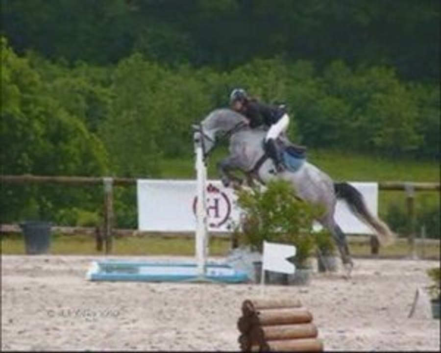 Chyvas au pin CCL 4ans