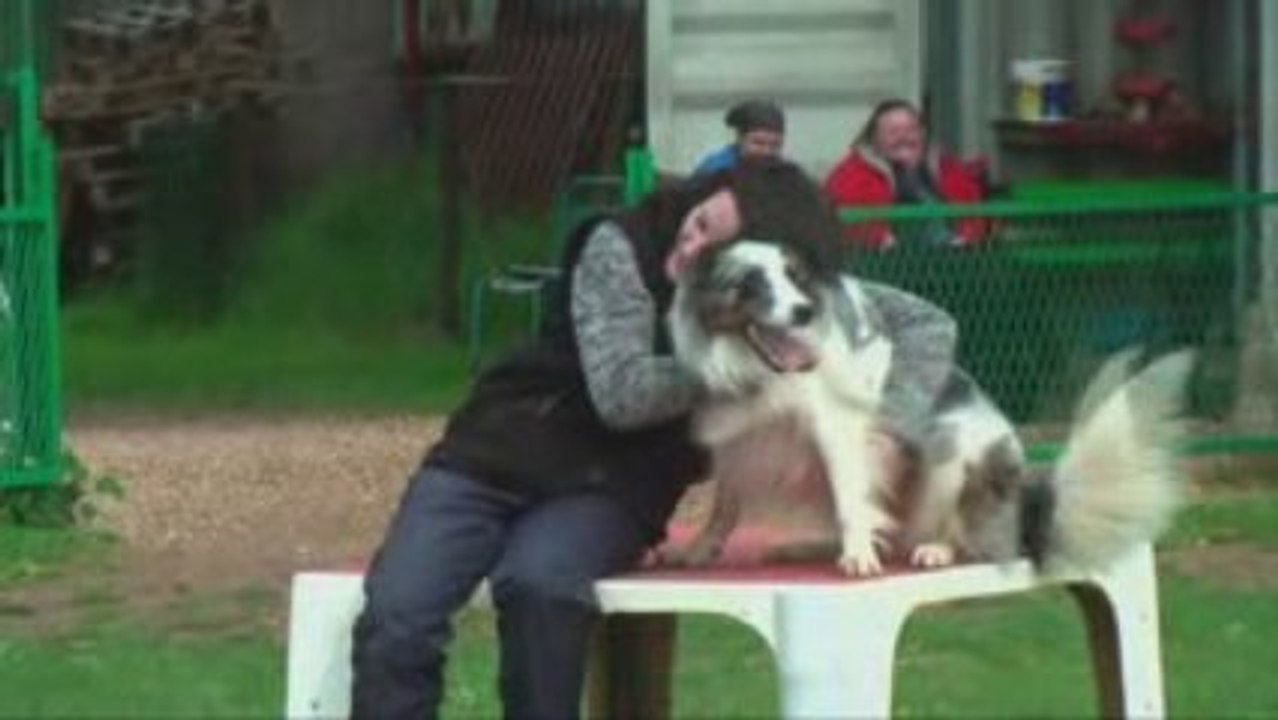 Agility54... 2 borders, 2 soeurs !