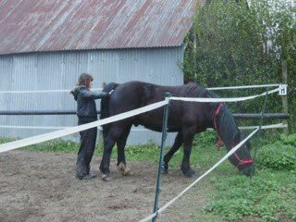 Noemie&Kamax. xlL