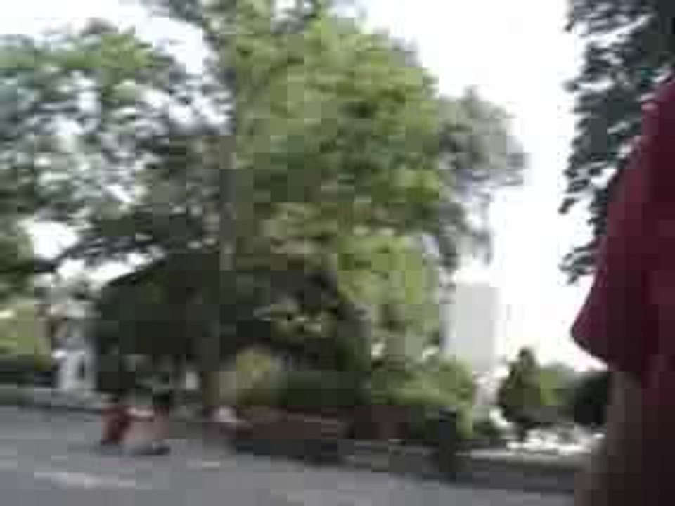 MOV00219