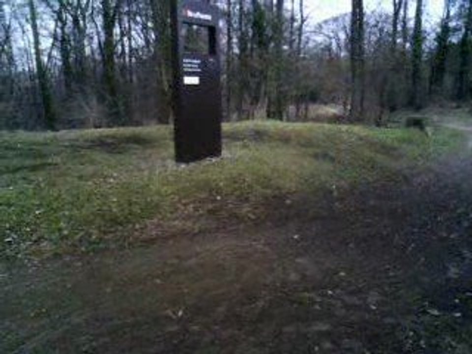 Modelisme voiture thermique buggy