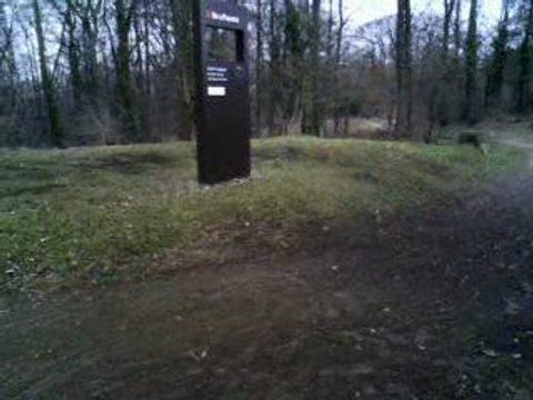 Modelisme voiture thermique buggy