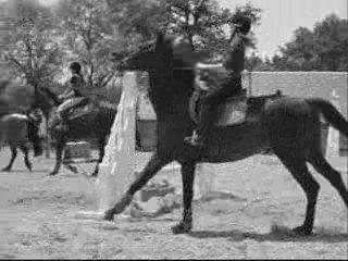 Top Des Ratés 6 🎬