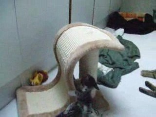 nos premières cascades...