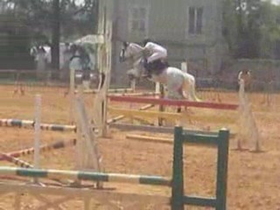 Asnieres Les Bourges D1P