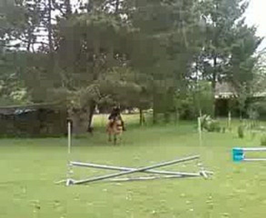 sha petite croix nvelle vidéo