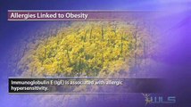 Allergies Linked To Obesity