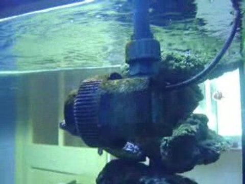 oscillateurs basse tension