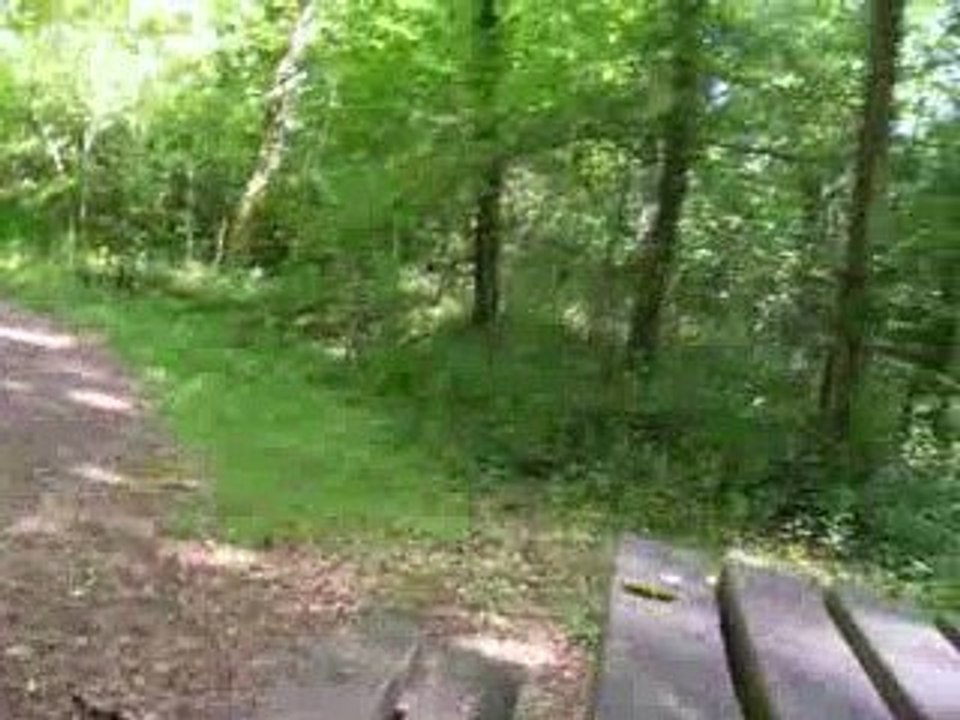 quesce que tu dit ? xD