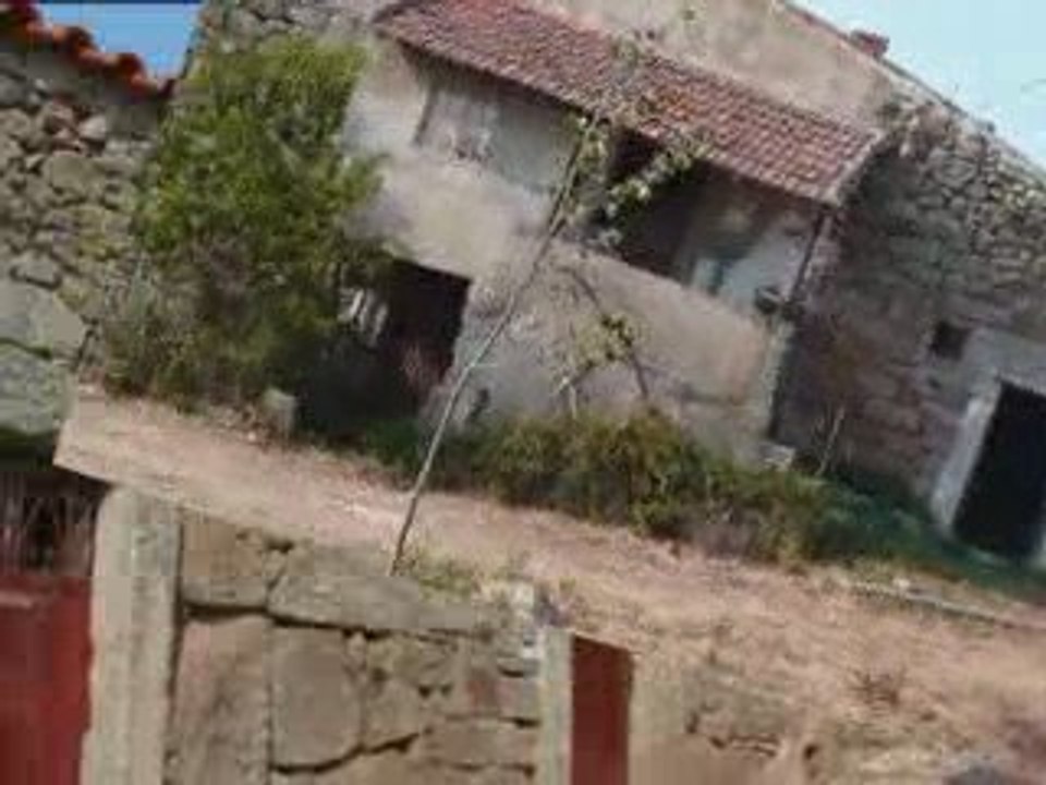 Vascoveiro