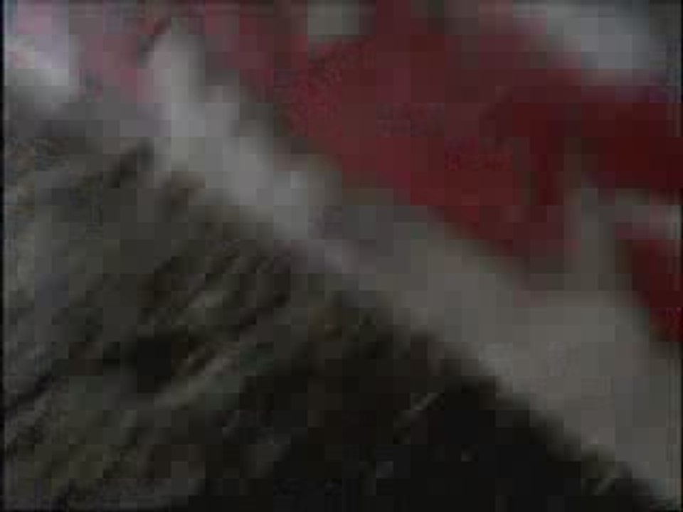 Projet Fantastique - Intro - 2006