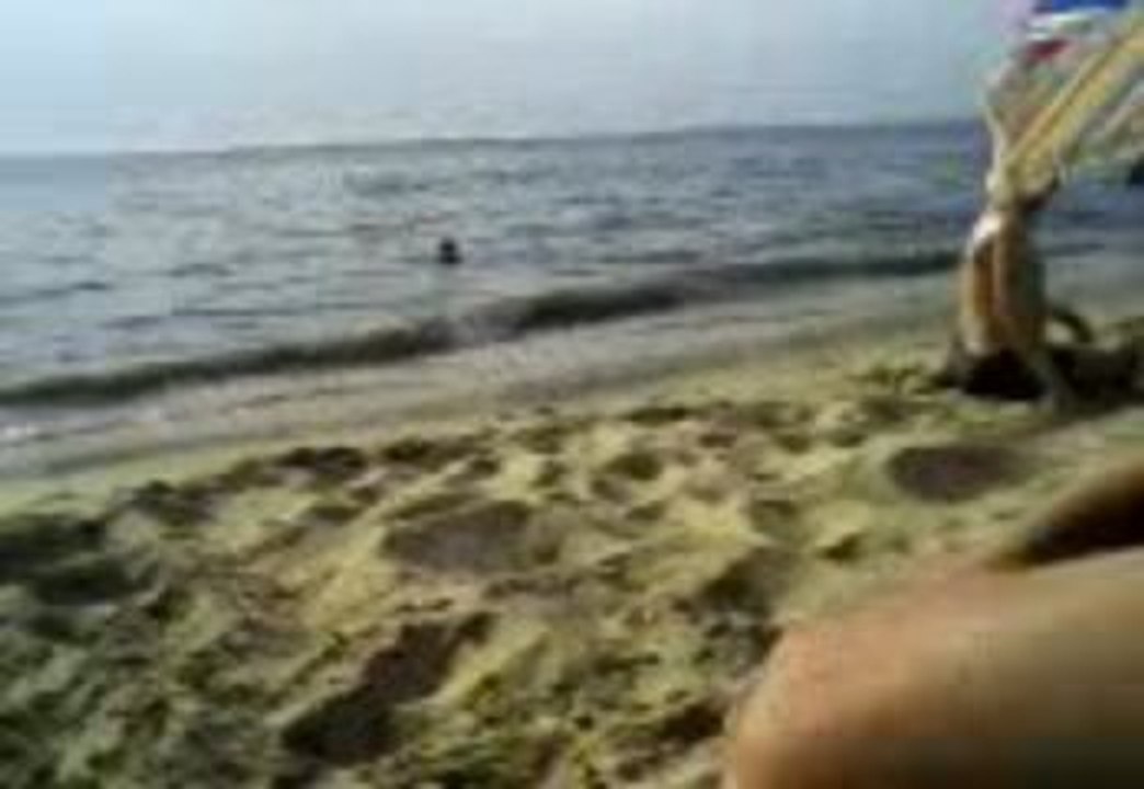 Vidéo-0004