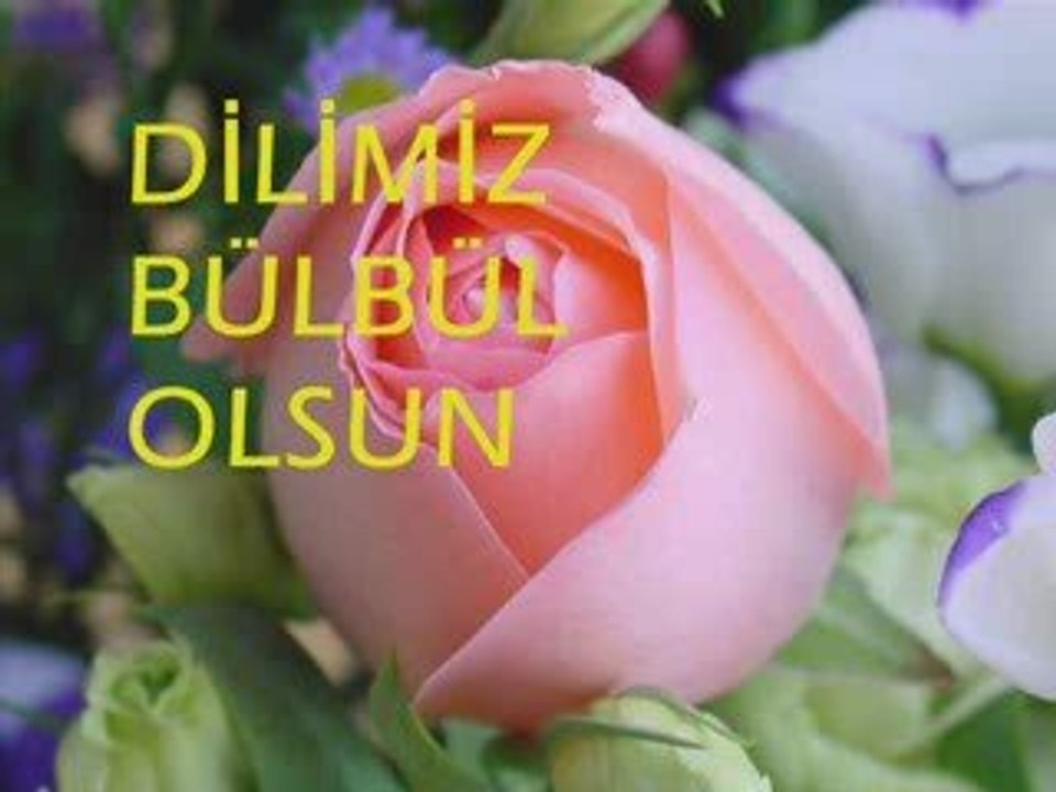 AÇILSIN ELLERİMİZ