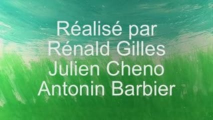 Aille, aille, aille!