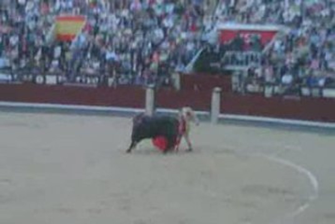 Corrida en Madrid - 26th May 2009