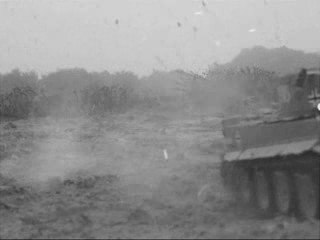 Char Tiger III RC 1 16 sur champ de bataille