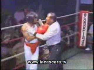 El boxeador mas tonto o pendejo