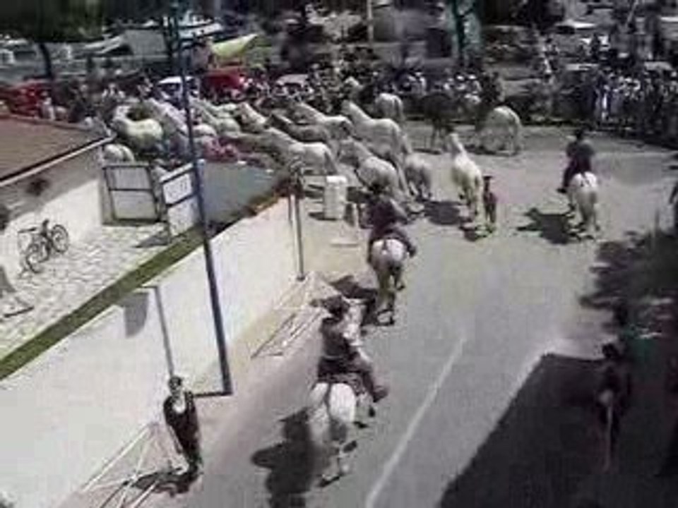 La vogua monstra du Grau du Roi 2/3