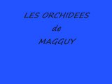 ORCHIDEES de MAGGUY