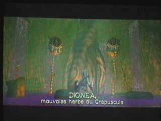 Zelda TP boss rush 1: Dionea