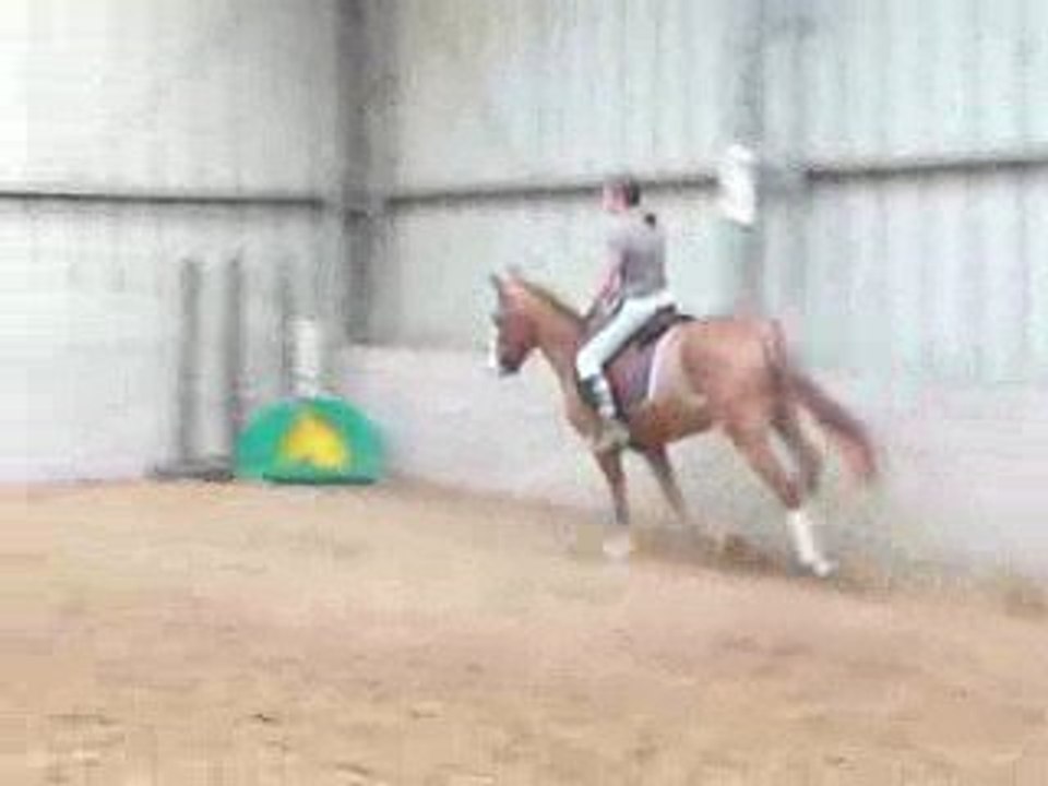 Le galop