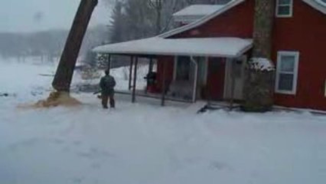 Regis coupeun arbre sur la maison