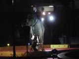 Cirque et elephant