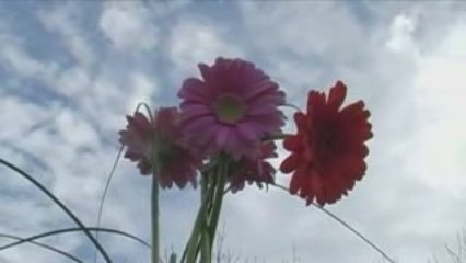 Dastorgul va Bahor Ovozlari - Halol Hordiq, uzbek, HD