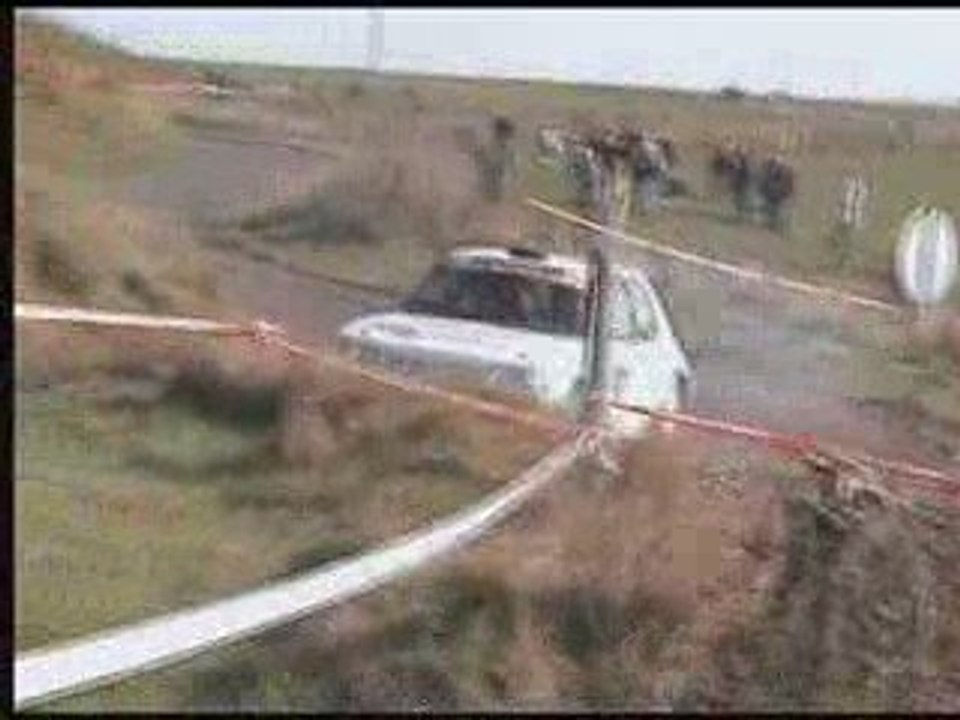 Morgan montbéliard 2007