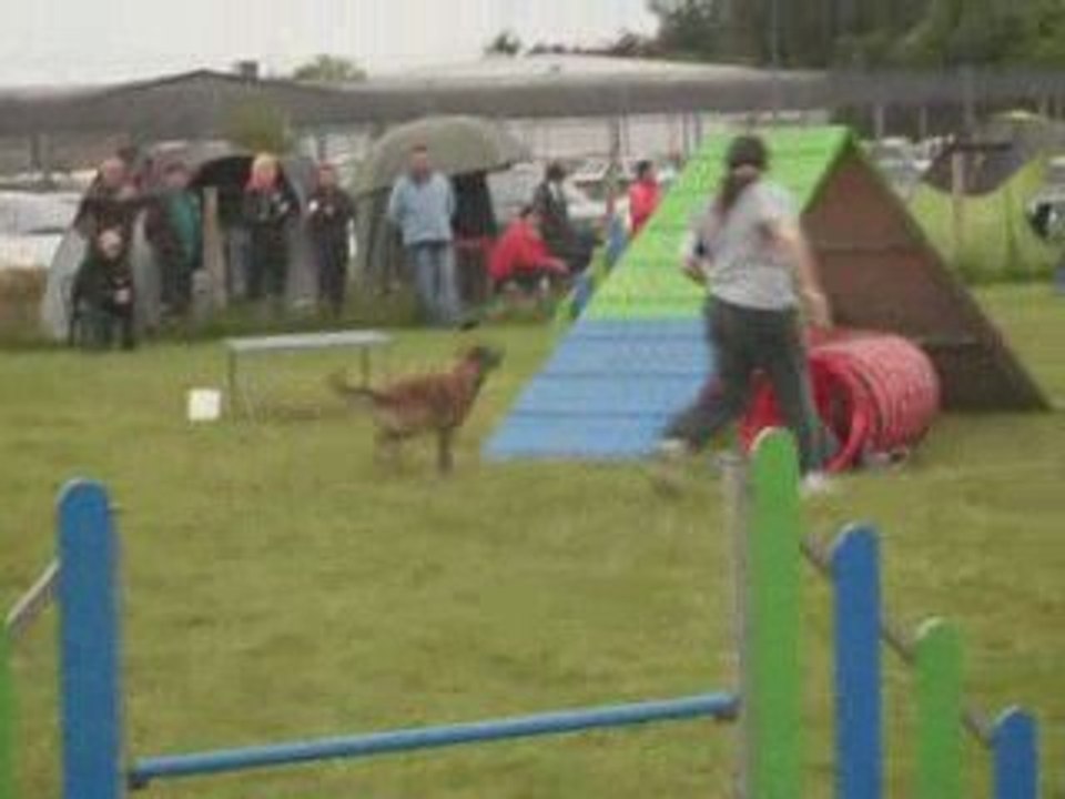 Concours d'agility Montrond-les-Bains 10 mai 2009