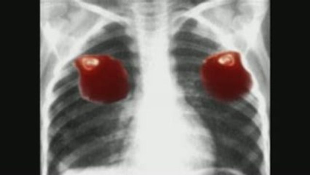 Gidiş Bir Dönüş İki Saat